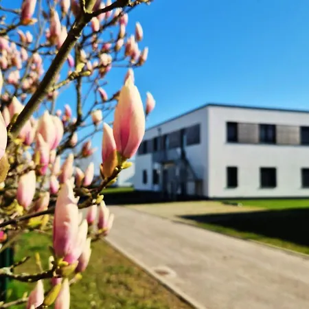 Seeliebe - Teilweise Mit Privater Sauna, Seeblick, Parkplatz, Wlan *
