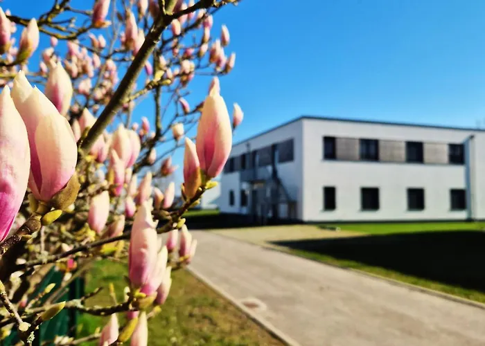 Seeliebe - Seeblick, Parkplatz, Teilweise Private Sauna, Wlan *