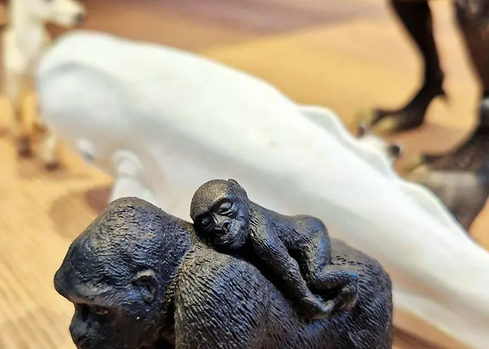 Seeliebe - Seeblick, Parkplatz, Teilweise Private Sauna, Wlan Schwerin (Mecklenburg-Vorpommern)